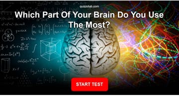 Personality Quiz Test: Are You Right Brained Or Left Brained?