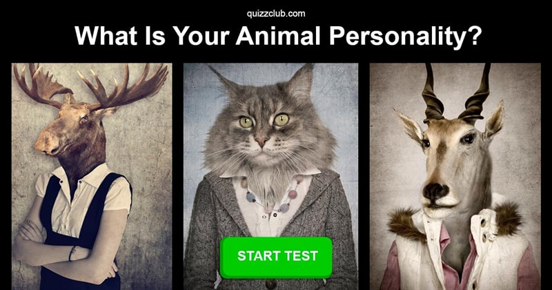 animal-quizzes-and-tests-quizzclub