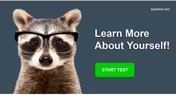 Personality Quiz Test: What Kind of Animal Are You?