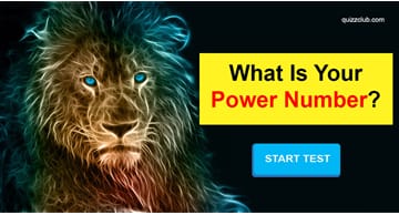Personality Quiz Test: This Spirit Animal Test Will Reveal Your Power Number