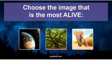 Personality Quiz Test: Only True Empaths Can Pass This Color & Imagery Test!