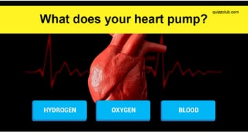 knowledge Quiz Test: Can You Answer These 10 General Knowledge Questions On The First Try?