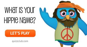 Personality Quiz Test: What Is Your Hippie Name?