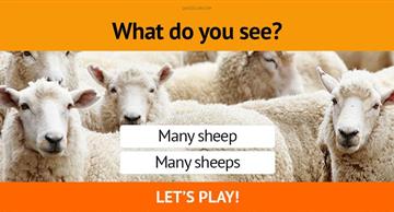 Quiz Test: Do You Know Which English Word To Use?