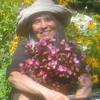 Myrna Rosen