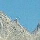 Amir Chand Negi