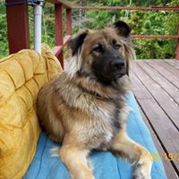 Maggie Mae