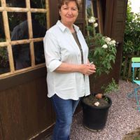 Carol Vultier Andrews
