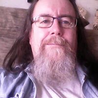 Steve Tingle