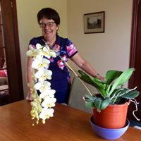 Anne Roxburgh