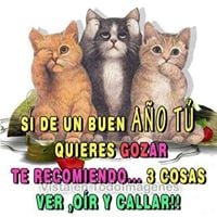 Graciela Salas Sepulveda