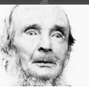 Bewick Finzer