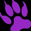 dkwolf