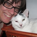 Cindy Illsley