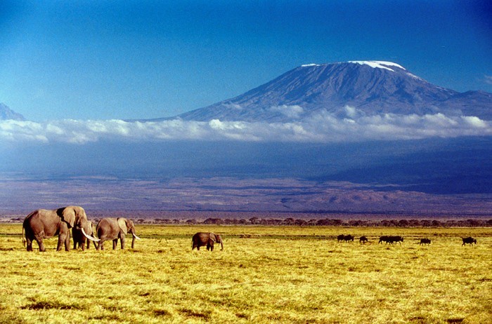Geography Trivia Question: Which is the highest mountain in Africa? Geography Trivia Question: Which is the highest mountain in Africa?