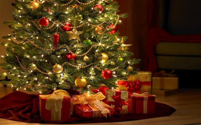 geography trivia question how long do christmas trees grow before they are sold - How Long Does A Christmas Tree Take To Grow geography trivia question how long do christmas trees grow before they are sold - How Long Does A Christmas Tree Take To Grow