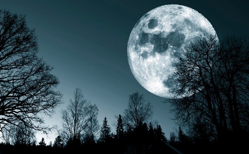 How many full moons does a person live through in a lifetime assuming a lifespan of 80 years? How many full moons does a person live through in a lifetime assuming a lifespan of 80 years?