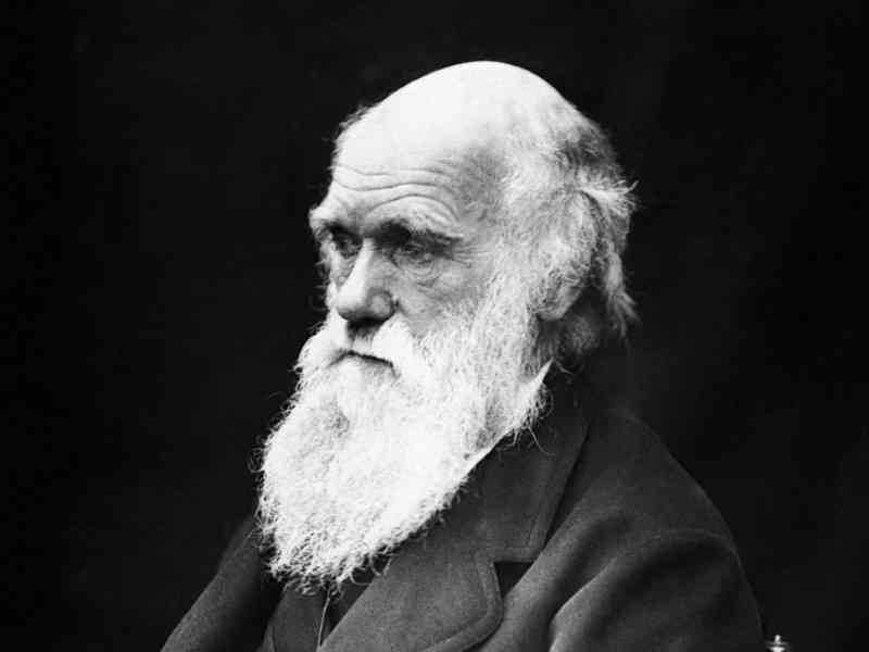Which achievement refers to Charles Darwin? Which achievement refers to Charles Darwin?