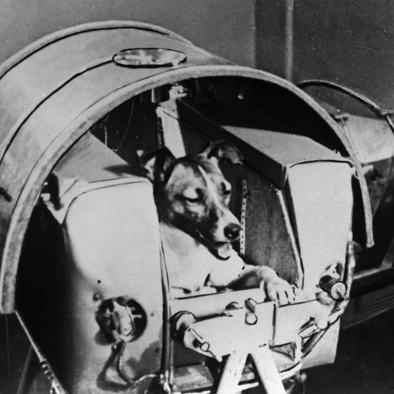What is the name of the Russian dog launched into Space in 1957?