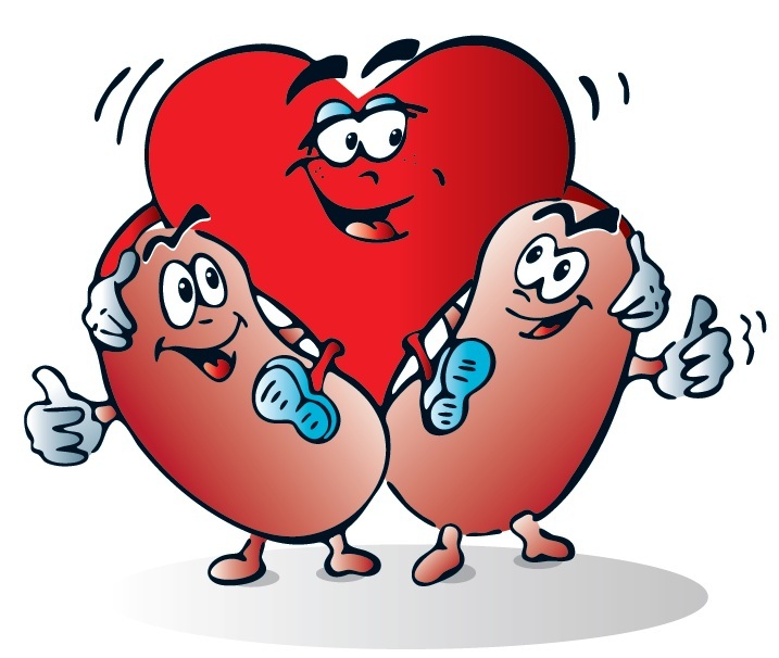 When did the World Kidney Day observation begin? When did the World Kidney Day observation begin?