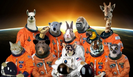 Which was the first animal to return from space? Which was the first animal to return from space?