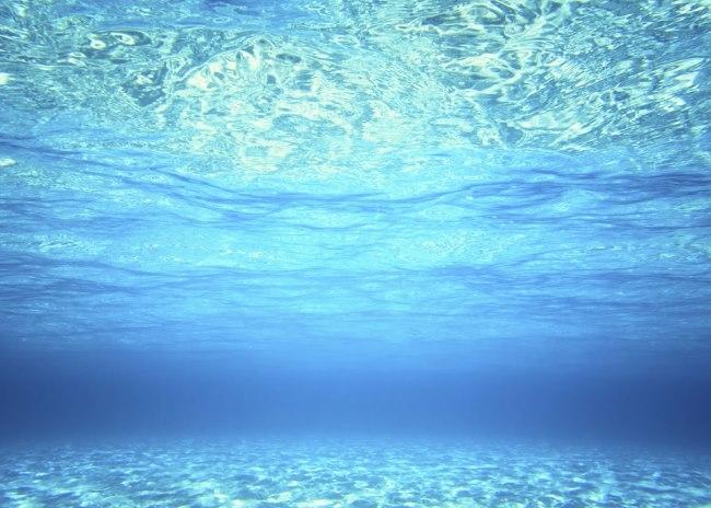 About 70% of the human body is made up of water and about 70% of Earth is covered in water About 70% of the human body is made up of water and about 70% of Earth is covered in water