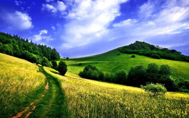 Geography Trivia Question: What US state has the lowest highest point? Geography Trivia Question: What US state has the lowest highest point?