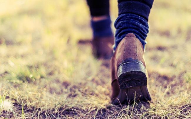 History Trivia Question: Who used the phrase "One Step Forward, Two Steps Back" as a title of a revolutionary pamphlet? History Trivia Question: Who used the phrase "One Step Forward, Two Steps Back" as a title of a revolutionary pamphlet?