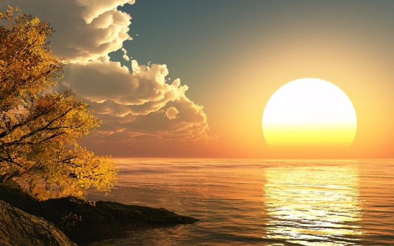 What is a Morning Glory? What is a Morning Glory?
