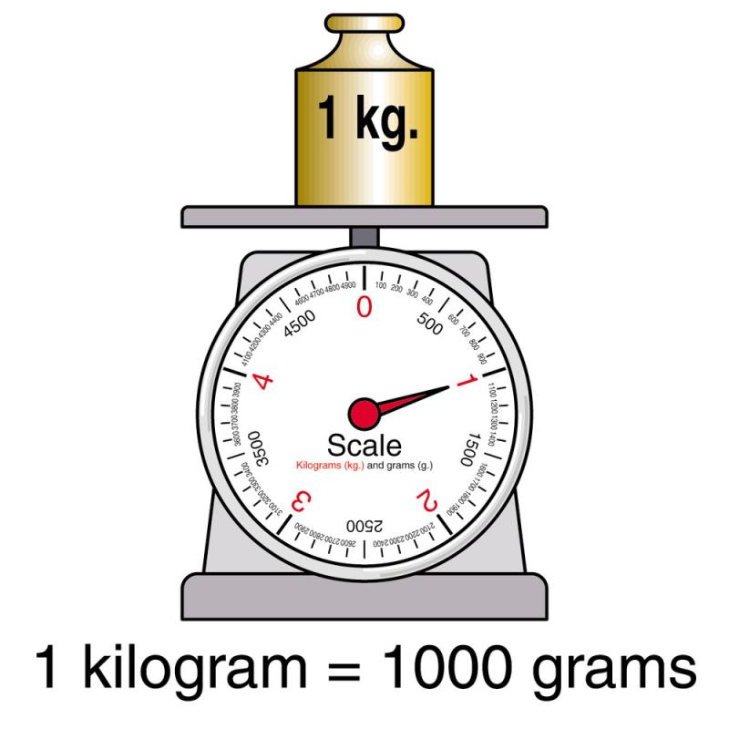 How many kilograms does a 220 pound person weight?