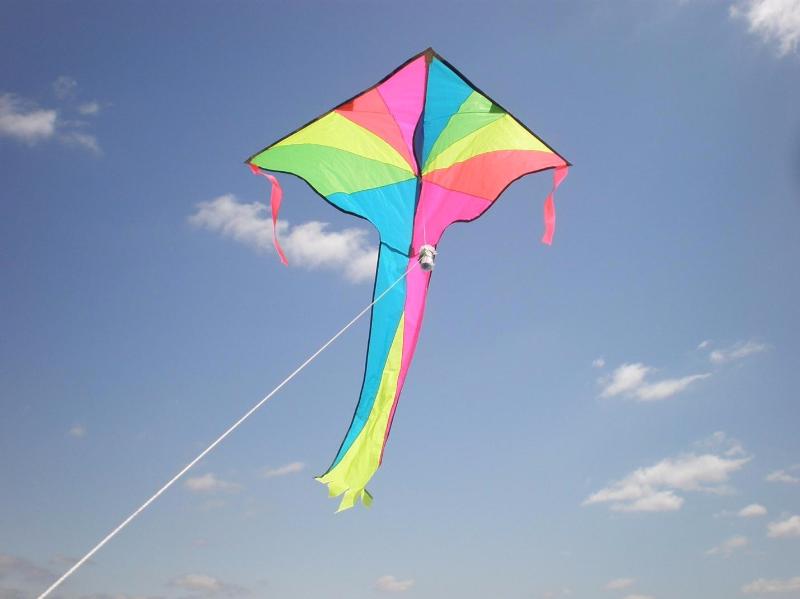 Why did Benjamin Franklin fly a kite during a thunderstorm? Why did Benjamin Franklin fly a kite during a thunderstorm?