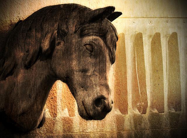 What was the name of Alexander the Great's Horse?