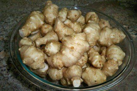 Jerusalem artichokes are native to which place?