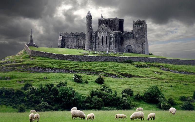 History Trivia Question: St. Patrick's cross was replaced by what Irish icon to celebrate the feast of the country's Patron Saint? History Trivia Question: St. Patrick's cross was replaced by what Irish icon to celebrate the feast of the country's Patron Saint?