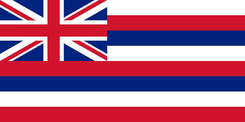 This flag is the official flag of which state?