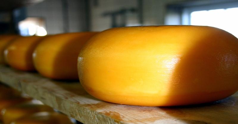 What cheese is also called "rotten cheese"?