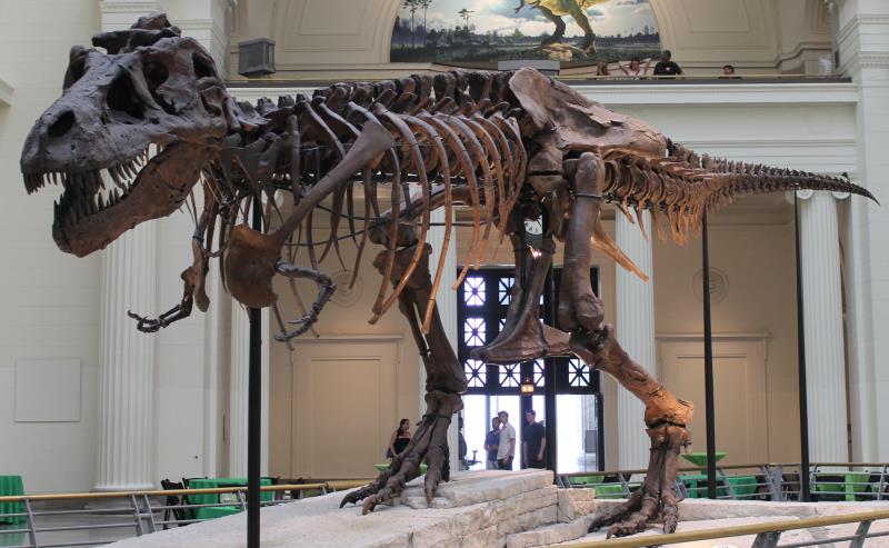 What was the nickname of the best preserved Tyrannosaurus rex specimen ever found? What was the nickname of the best preserved Tyrannosaurus rex specimen ever found?