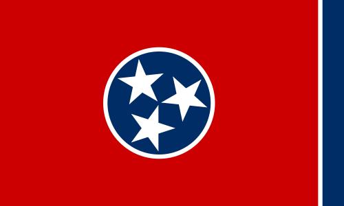 Which state does this flag belong to?