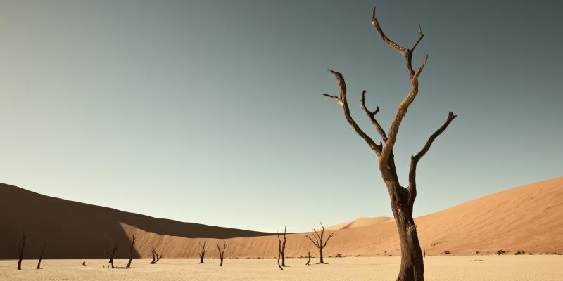What is the world's largest sand desert?
