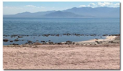 What Sea lies within the borders of California?