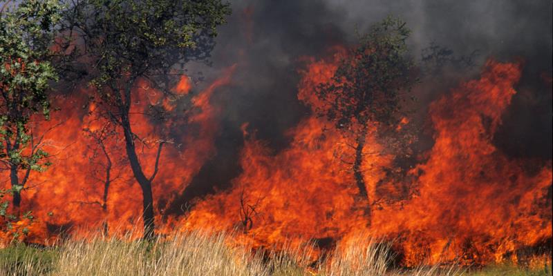 Which is the name of the largest fire in California of the last 100 years? Which is the name of the largest fire in California of the last 100 years?