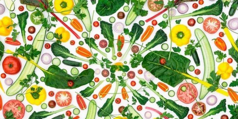 When was World Vegan Day established?