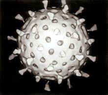 Society Trivia Question: A small infectious agent that replicates only inside the living cells of other organisms? Society Trivia Question: A small infectious agent that replicates only inside the living cells of other organisms?