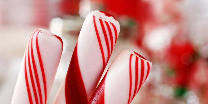 Pick the traditional meat dish of Christmas in the USA: