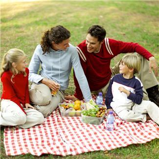 What country is the safest and most peaceful place in the world to raise a family?