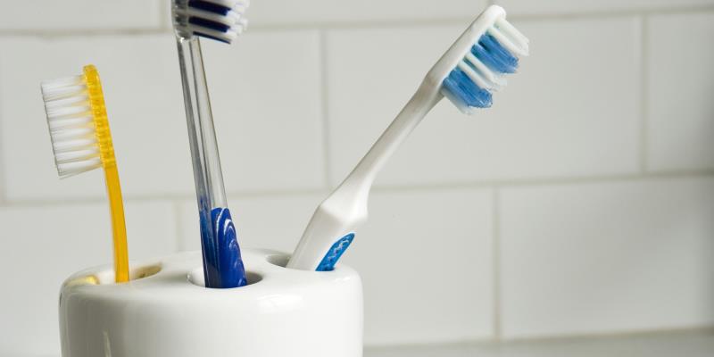 Society Trivia Question: What's the germiest thing in your house? Society Trivia Question: What's the germiest thing in your house?