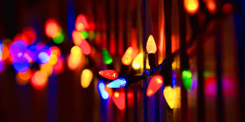 What unofficial holiday is celebrated internationally on December 14?
