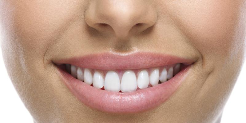 How many permanent teeth does the average adult human have?