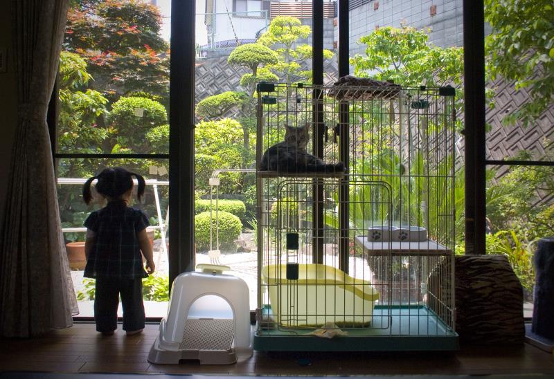 Before entering a home in Japan, you must first __________.