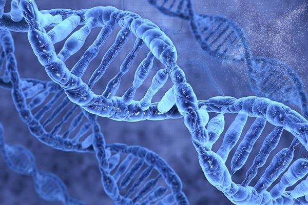Science Trivia Question: In science, what does DNA stand for? Science Trivia Question: In science, what does DNA stand for?